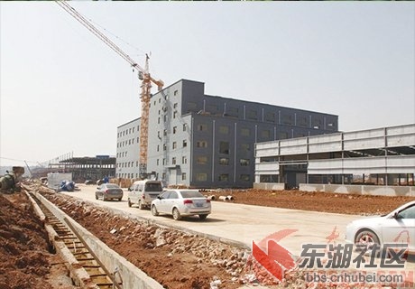 阳新县湖北莱奥斯子午轮胎项目前期建设场景
