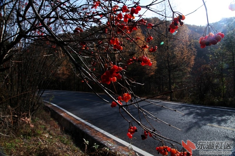 conew_img_8913.jpg