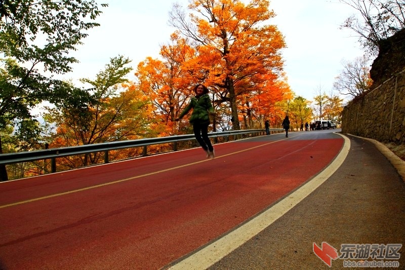 conew__mg_9073_conew1.jpg