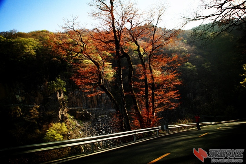 IMG_6414_副本.jpg