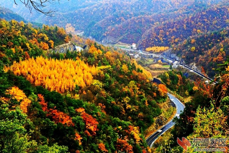conew__mg_9460_conew1.jpg