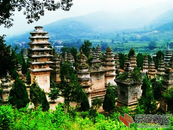 1少林寺塔林.jpg