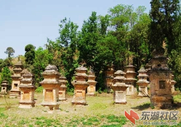 4风穴寺塔林.jpg