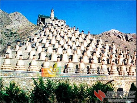 5青铜峡塔林.jpg