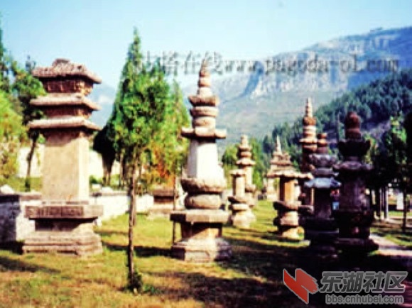 6神通寺塔林.jpg
