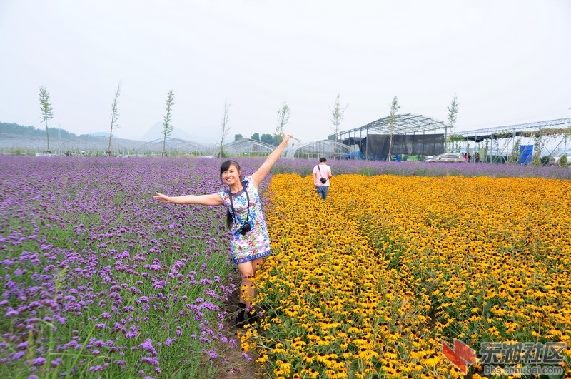 0304_五夫园.JPG