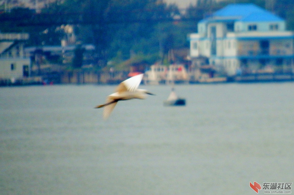 DSCF8936_副本.jpg