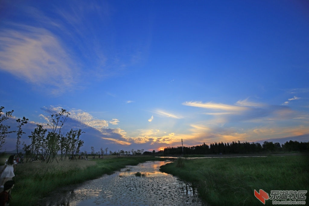 IMG_7517_副本.jpg