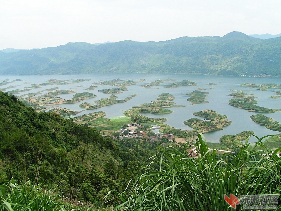 PICT0011.jpg