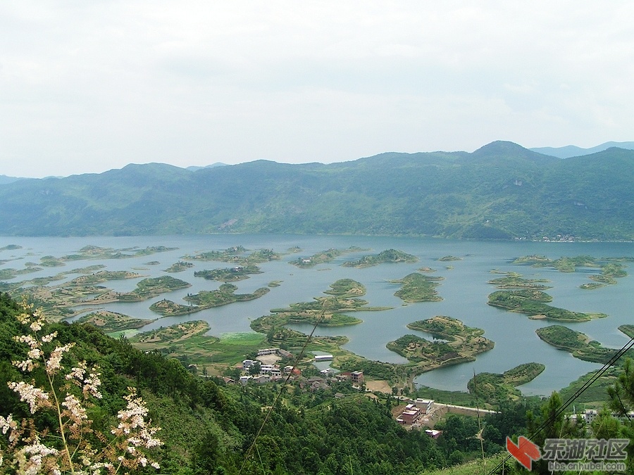 PICT0012.jpg
