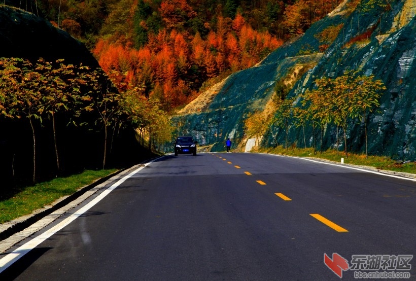 _MG_8981_conew1.jpg