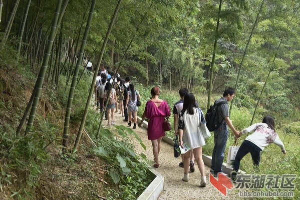 _DSC2252_调整大小.JPG