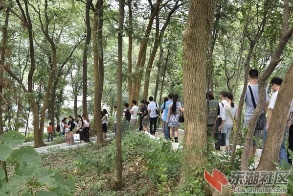 _DSC2260_调整大小.JPG