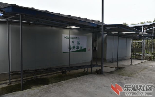 _DSC2308-1_调整大小.jpg
