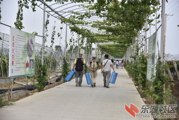 _DSC2362_调整大小.JPG