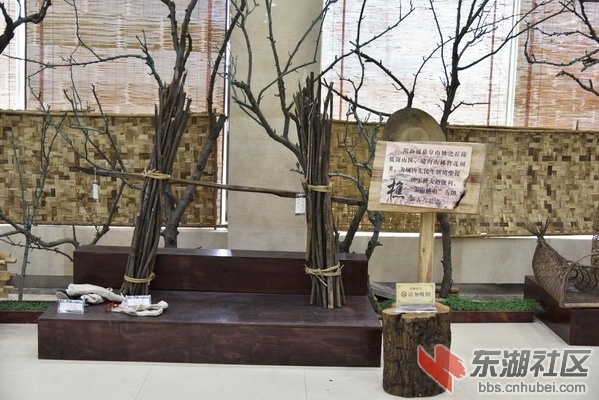 _DSC2433_调整大小.JPG