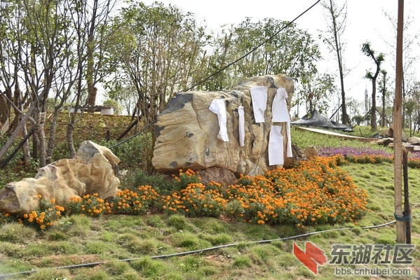 _DSC2452_调整大小.JPG