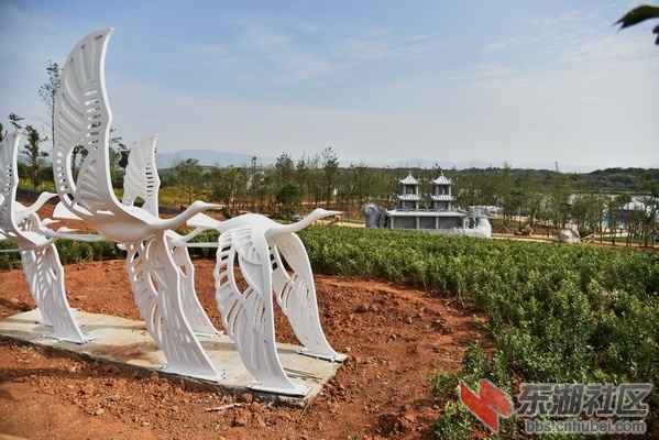 _DSC2459_调整大小.JPG
