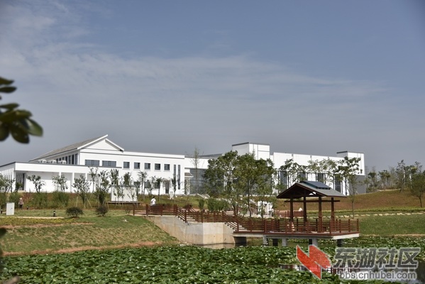 _DSC2475_调整大小.JPG