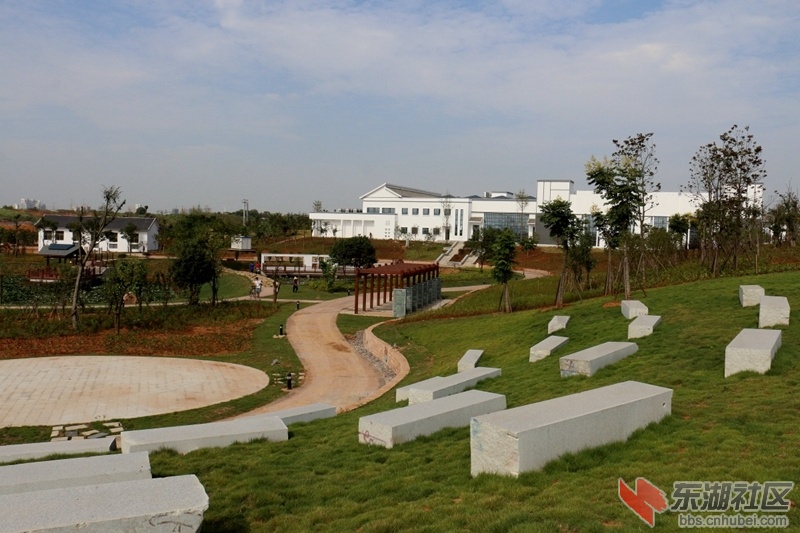 01.jpg