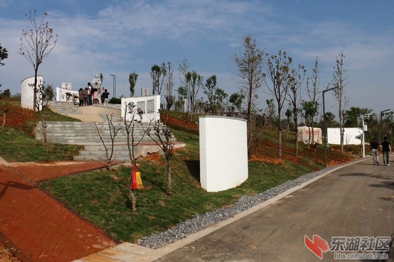 05.jpg