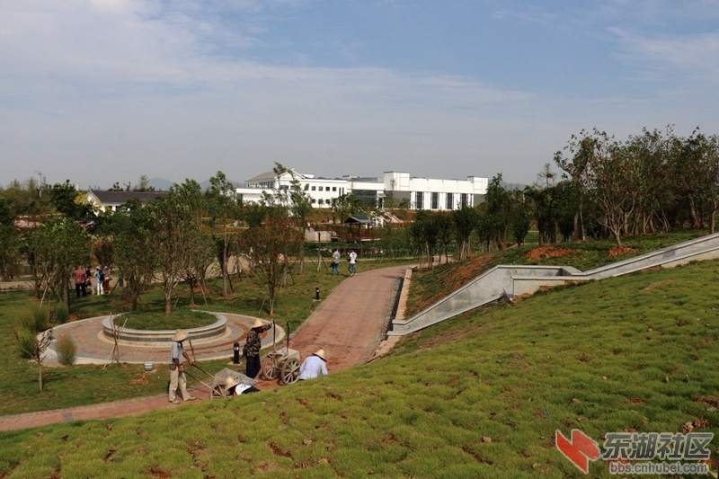 06.jpg