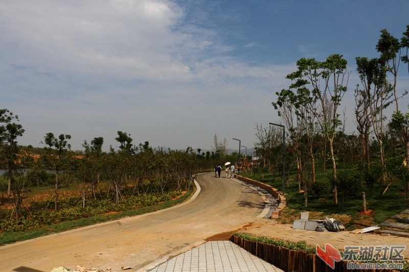 08.jpg
