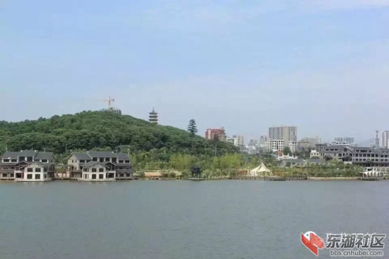 城东看阳新