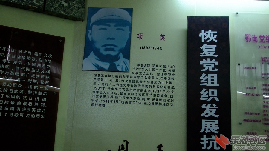 DSCF3295.jpg