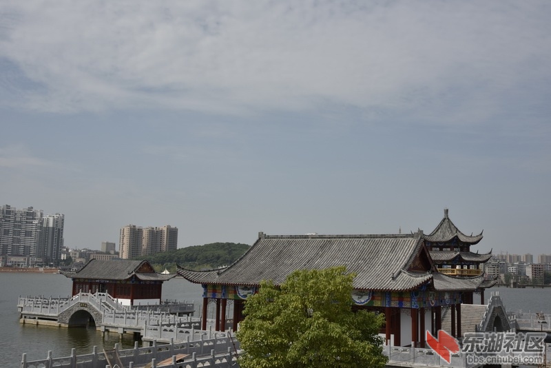 _DSC2500_调整大小.JPG