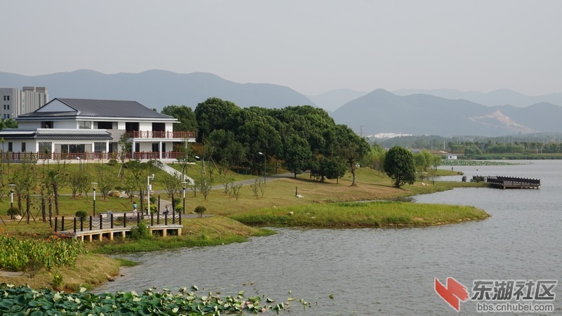 DSC02275_调整大小.JPG