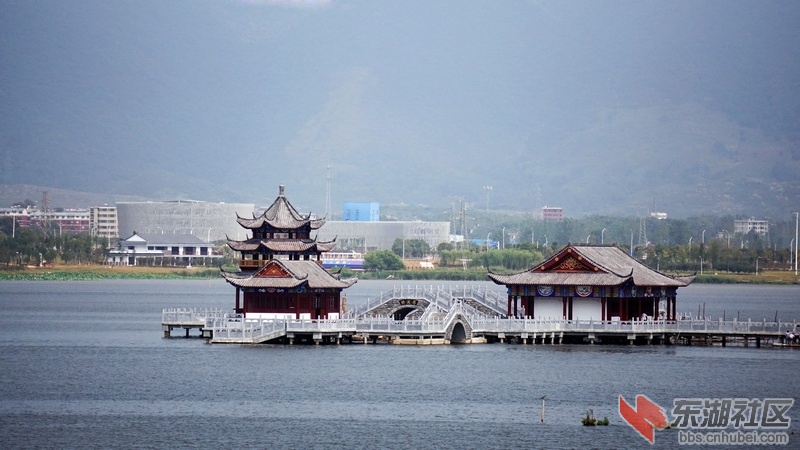 DSC02307-1_调整大小.jpg