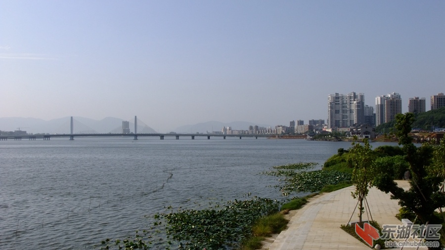 DSCF3472.jpg