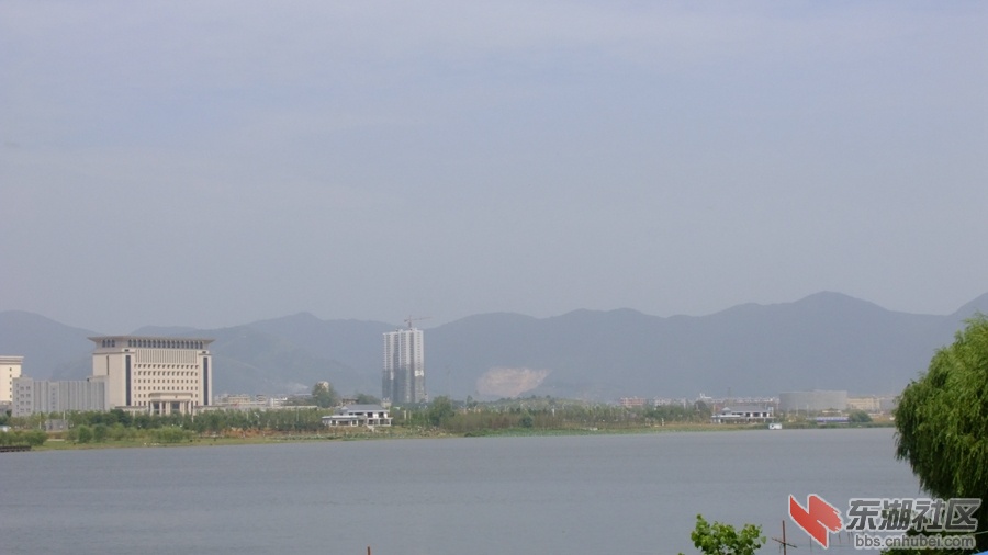 DSCF3551.jpg