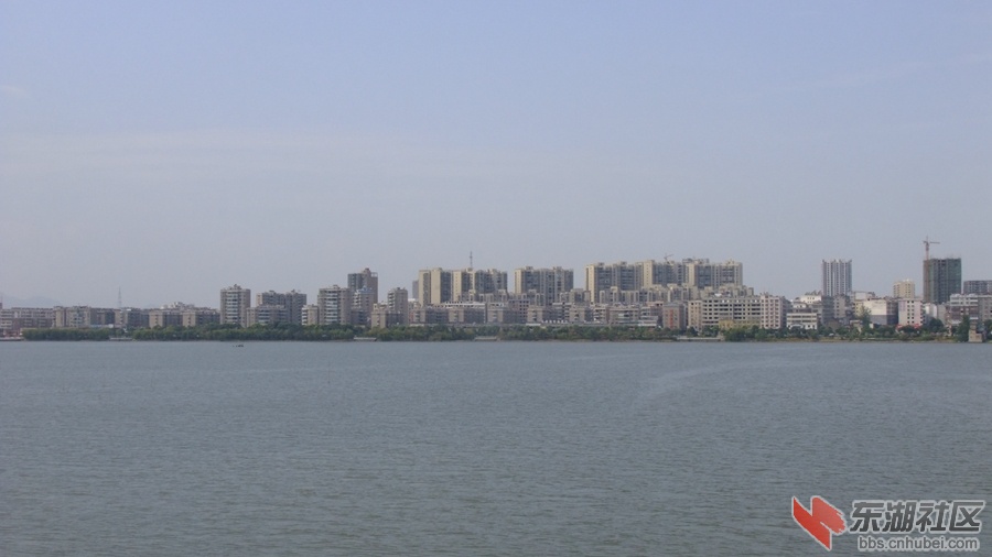 DSCF3561.jpg