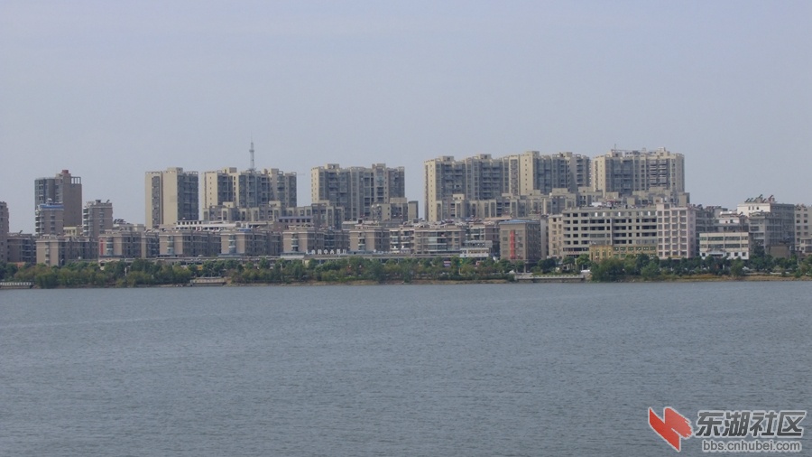 DSCF3563.jpg