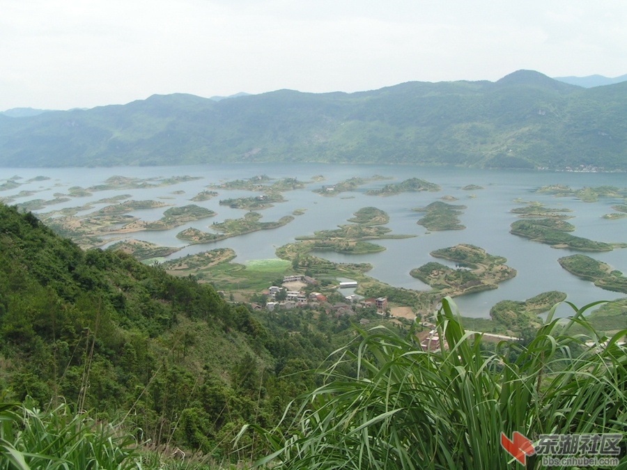 PICT0011.jpg