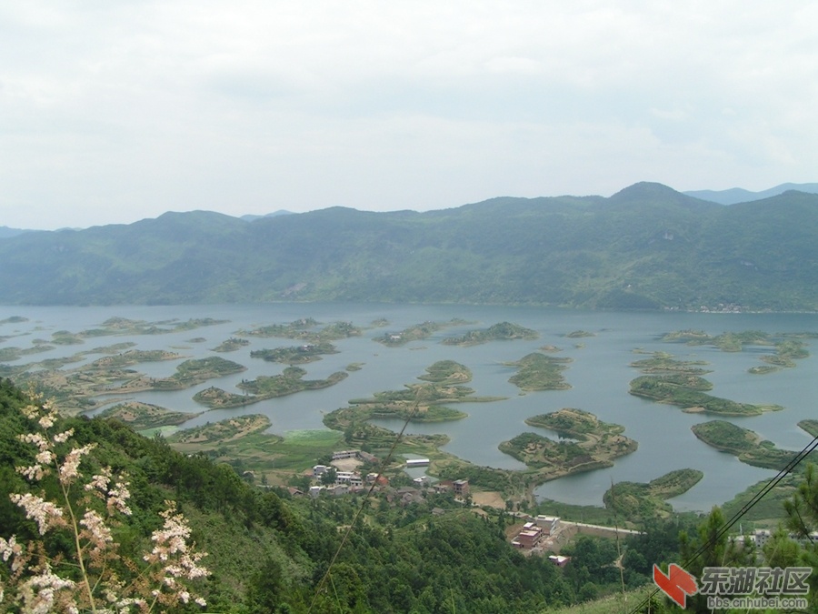 PICT0012.jpg