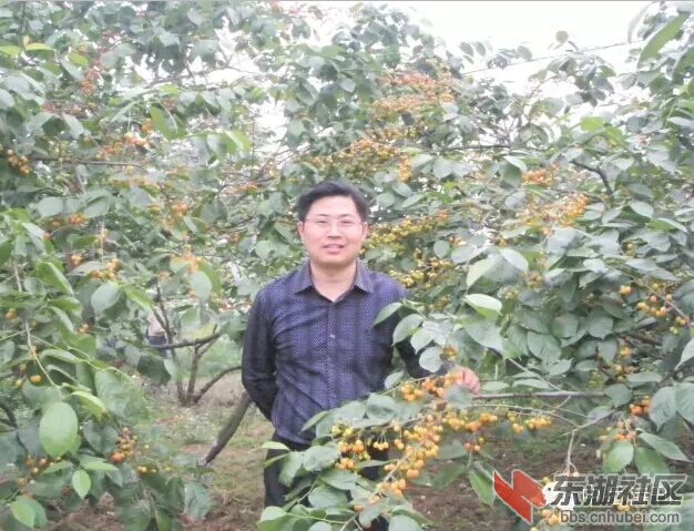 QQ图片20150916094853.jpg