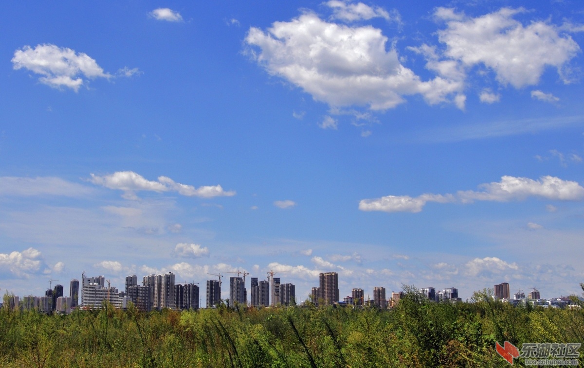 _DSC0044.JPG