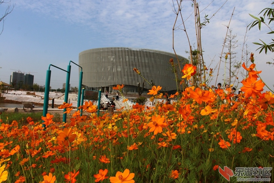 08.jpg