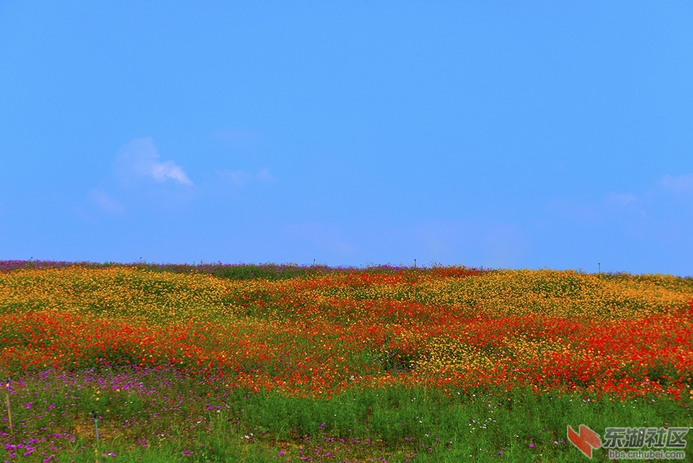 0_DSC6013.jpg