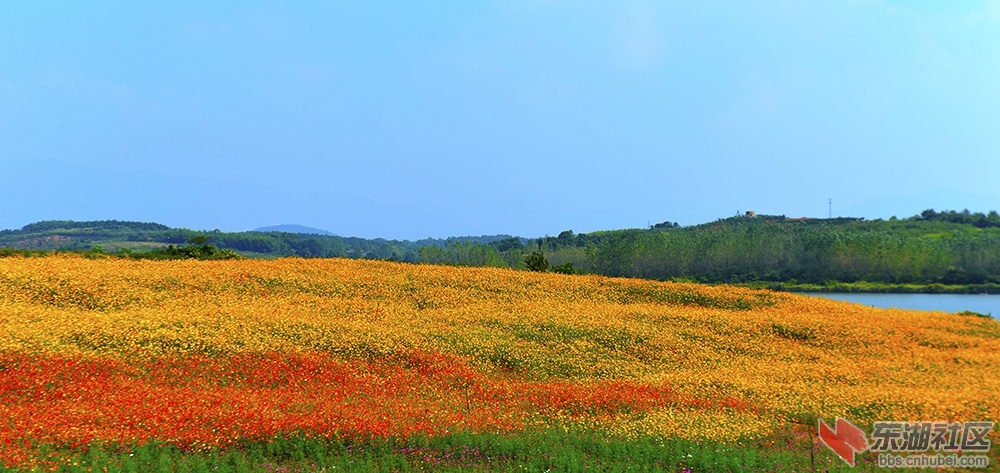 0_DSC6015.jpg