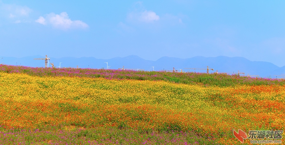 0_DSC6016.jpg