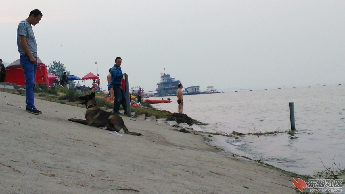 IMG_20150916_061800_副本.jpg