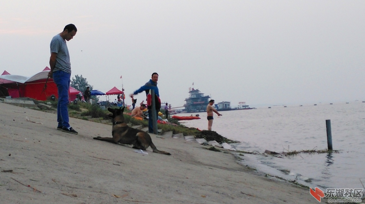 IMG_20150916_061810_副本.jpg