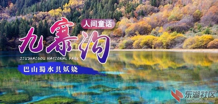 20150915150038678.jpg