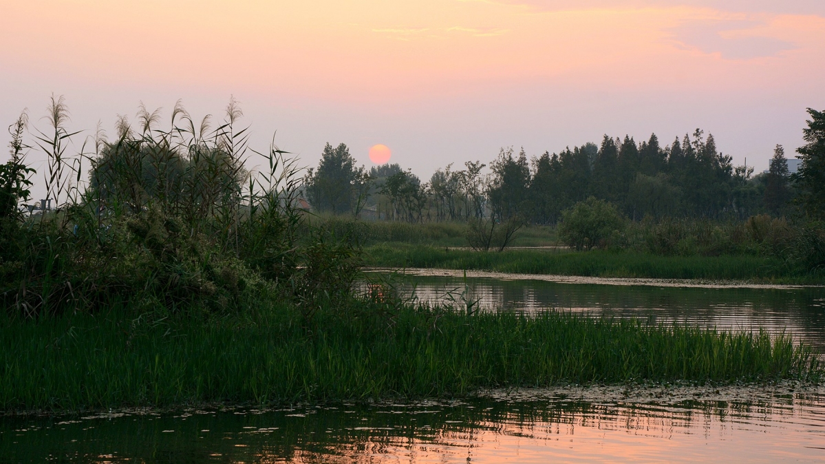 DSC_9380_副本.jpg