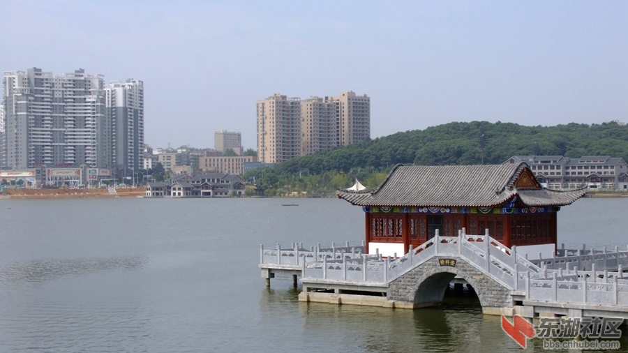DSCF3556.jpg