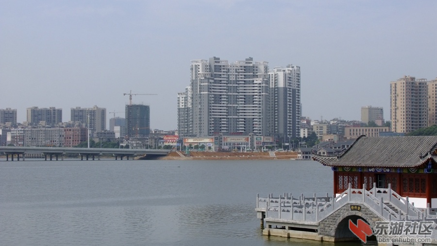 DSCF3549.jpg